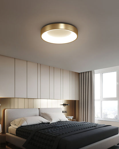 Liora Ceiling Light