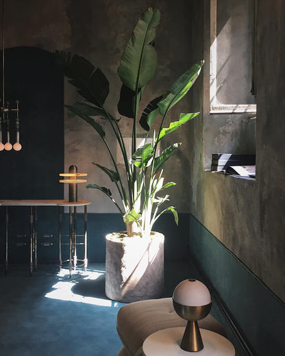 Alabaster Planes Table Lamp