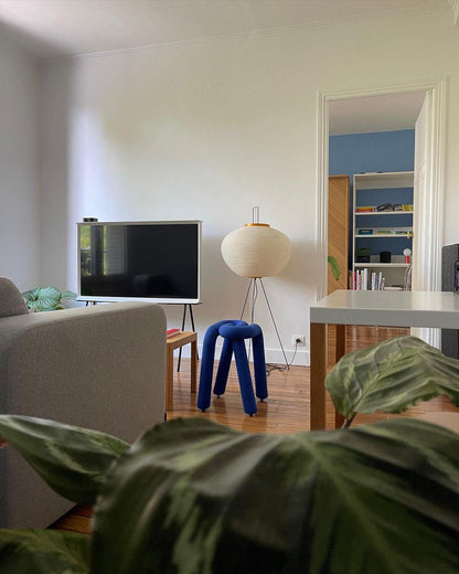 Akari Series Floor Lamp