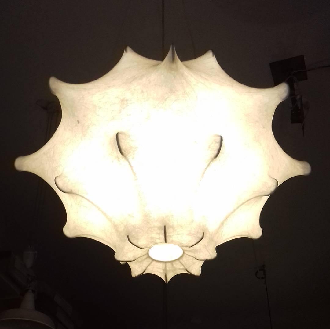 Taraxacum Suspension Lamp